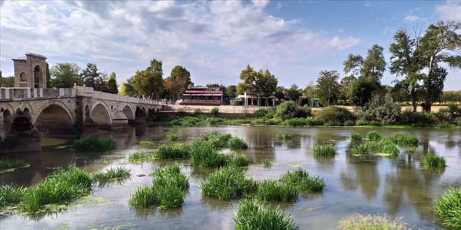 Su seviyesi dibe vuran Tunca Nehri'nde ot öbekleri oluştu