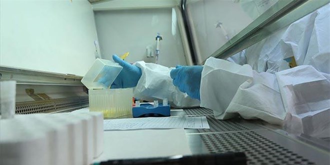 'PCR'ı mobbing diye şikayet edenler var'