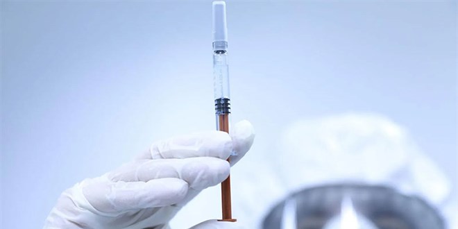 Samsun'da antikor araştırması sonuçları: Sinovac mı, Biontech mi?
