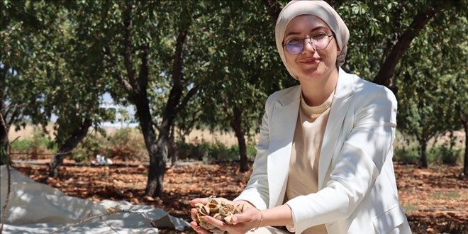 Şehir hayatını terk eden veteriner hekim badem yetiştiriyor