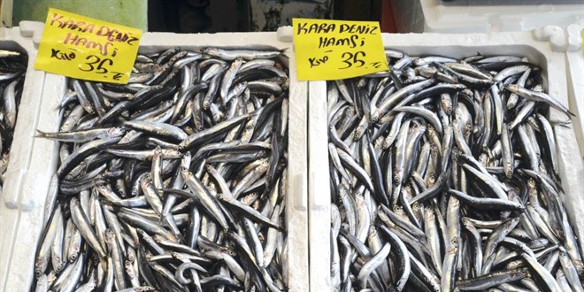 Hamsinin fiyatı düşmüyor, lüferde bolluk var