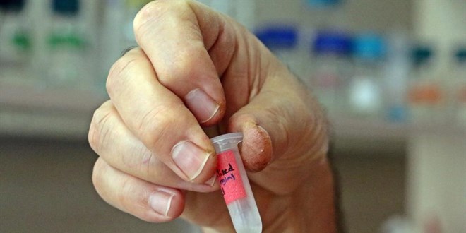 Bitkiden üretilen 'kokteyl' korona aşısı insan deneyine hazır