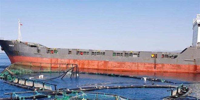 Gemi, balık çiftliği havuzlarına çarptı; 20 milyon lira zarar var