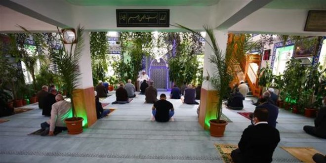 Nevşehirli imam camiyi adeta botanik bahçesine dönüştürdü