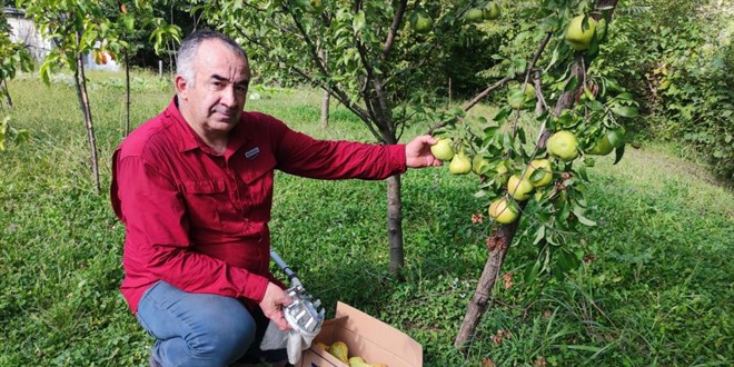 Öğretmen, arazisini şehitlerin anısına meyve bahçesine çevirdi