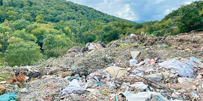 Belediye ormana moloz döktü, soruşturma başlatıldı