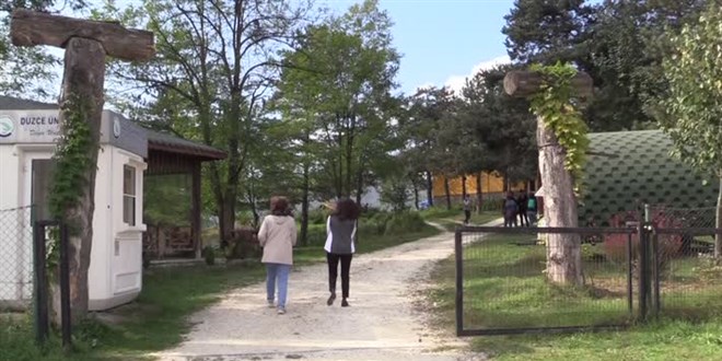 Emekli öğretmen profesyonel arıcı olmak için 60'ında üniversiteyi kazandı