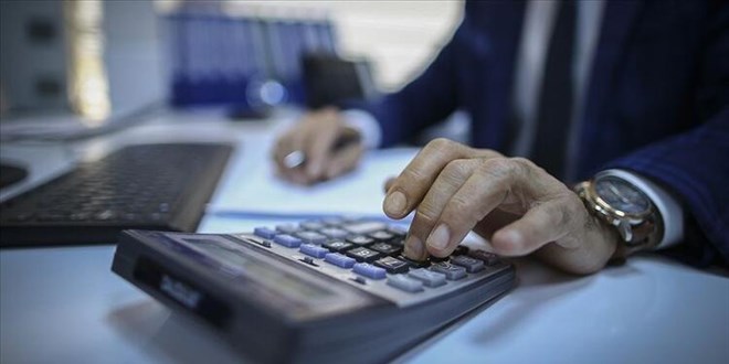 Torba kadro ya da kavak ağacı ile kabağın hikayesi