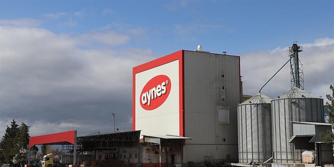 TMSF, Aynes'i satışa çıkardı: İhaleye tek firma katıldı