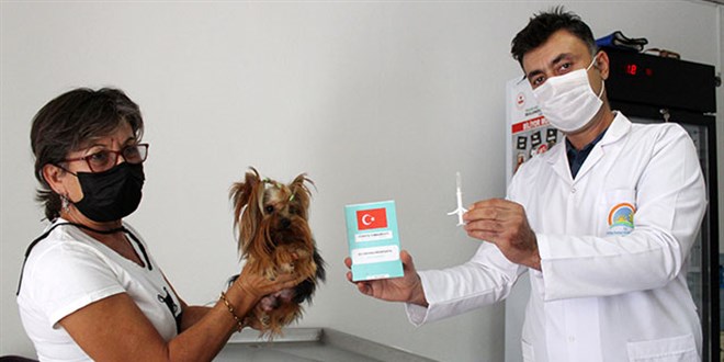 Köpekler 2021, kediler 2022 sonuna kadar çiplenecek