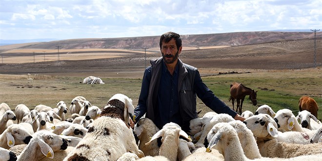 Mesleği hayvancılıkta devlet desteğiyle sürüsünü büyüttü