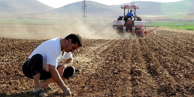 Türkiye'de tarımda üretim haritası değişiyor