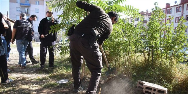 Belediyeden 'ukurda kpek lleri bulundu' paylamlarna aklama