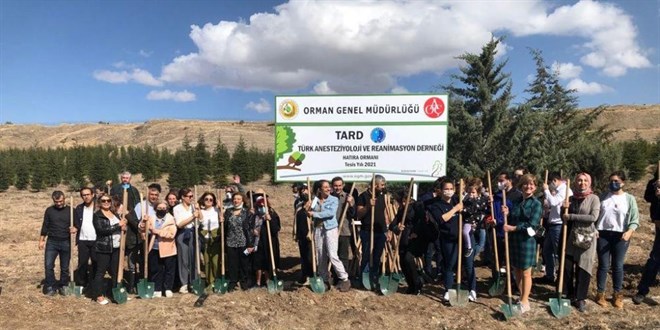 Kovid-19'a yenilen sağlıkçılar için hatıra ormanı oluşturuldu