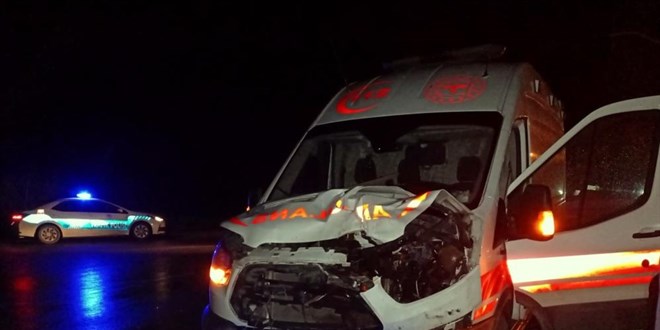 Ambulansın çarptığı inek telef oldu