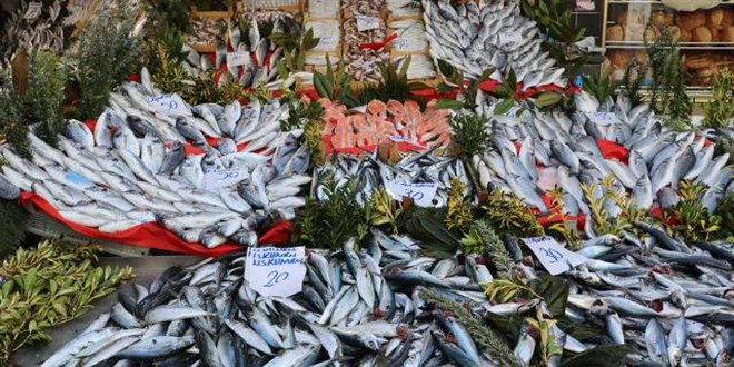 Balık bolluğu fiyatlara da yansıdı: İşte tezgahlardaki son durum
