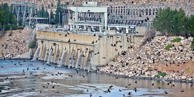 Keban Barajı çok sayıda kuş türüne ev sahipliği yapıyor