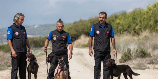 K-9 köpekleri Mersin itfaiyesinin gözü kulağı oluyor