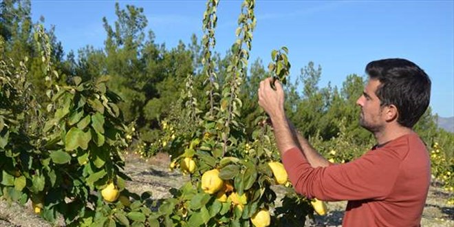 Genç çiftçinin, devlet desteğiyle kurduğu bahçeden ihracat başarısı