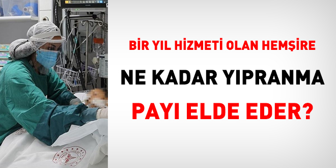 Bir yl hizmeti olan hemire ne kadar ypranma pay elde eder?