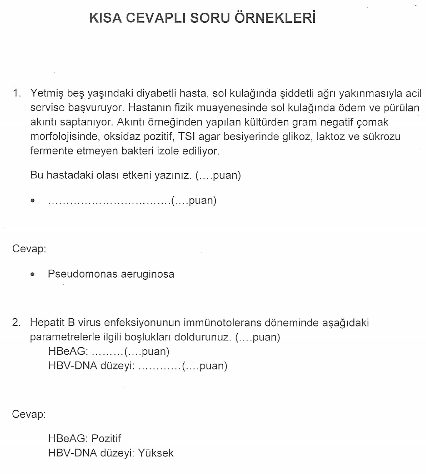 YDUS Açık Uçlu Soru Örnekleri - Memurlar.Net