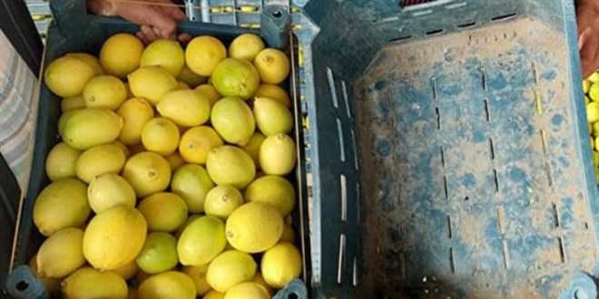 Kasanın fiyatı, içindeki limonu geçti