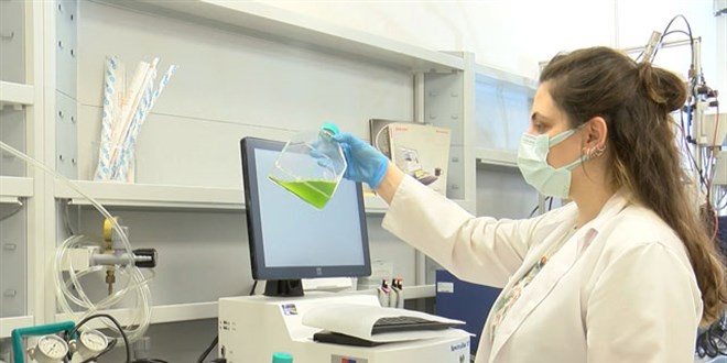 Yosundan üretilen jet yakıtı ilk kez uçaklarda kullanılacak