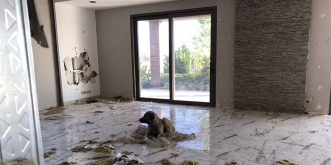 Belediye Başkanı milli serveti çürümeye terk etti