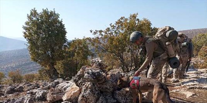 Siirt'te 'Eren Kış-5 Şehit Jandarma Üsteğmen Ersan Yenici' Operasyonu başlatıldı