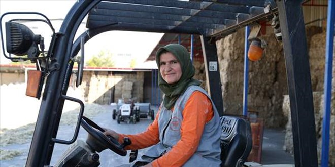 Forklift operatörü iki kadın fabrikanın 'yükü'nü taşıyor