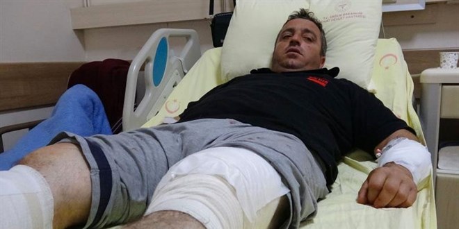 Ahıra giderken ayı ile karşılaştı, güreşerek yaralı olarak kurtuldu