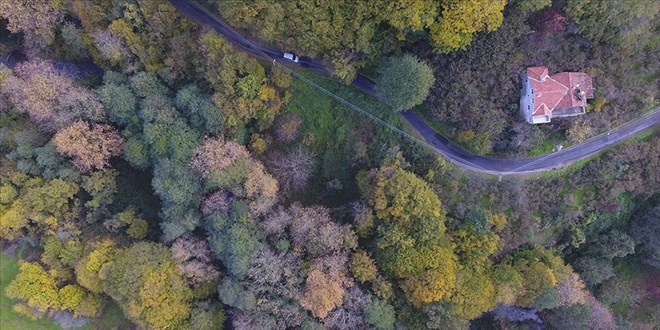 Ormana bitişik parselde yapı inşa edilemeyecek