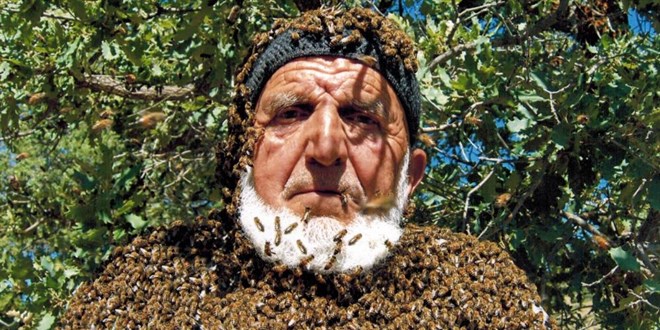 Üzerine 50 bin arı konuyor, maskesiz çalışıyor