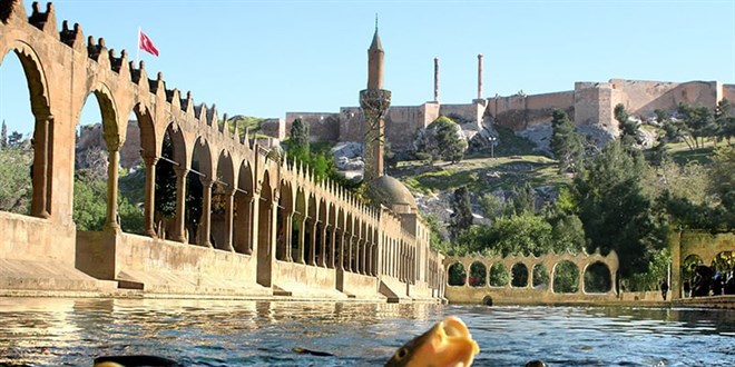 Şanlıurfa'da baraj göletinde toplu balık ölümleri üzerine inceleme başlatıldı