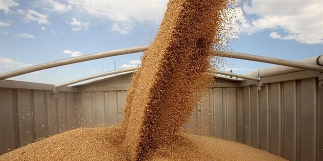 TMO, 385 bin ton bu�day ithal edecek