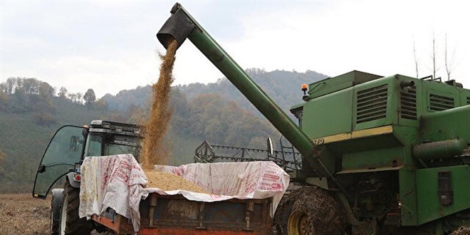 Ordu'da atıl araziler tarıma açılıyor