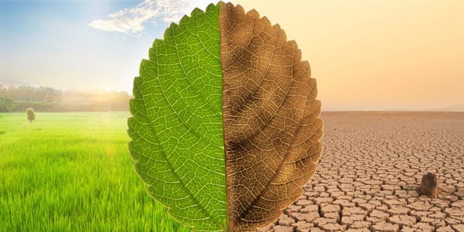 D�nyan�n �nde gelen uzmanlar�, iklim krizini konu�acak