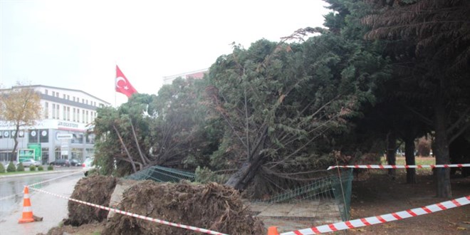 Kocaeli'de şiddetli rüzgar ve fırtınada 2 kişi yaşamını yitirdi