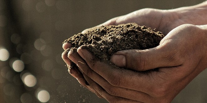 Küresel ısınma toprağı olumsuz yönde etkiliyor