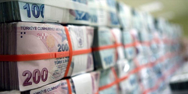 Türk Lirası, kasımda 6,14 puan değer kaybetti