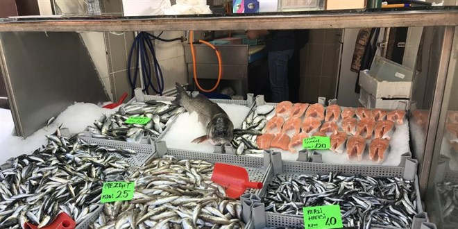 Hamsi tezgahlarda 40 TL'yi gördü