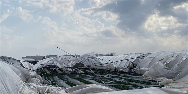 2 gün sonra hasat yapılacak seralar, fırtınada yerle bir oldu