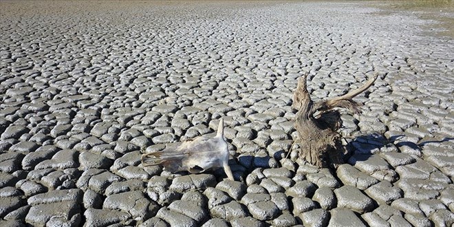 D�nyan�n 'karakutusu' insanl���n iklim karnesini ar�ivleyecek