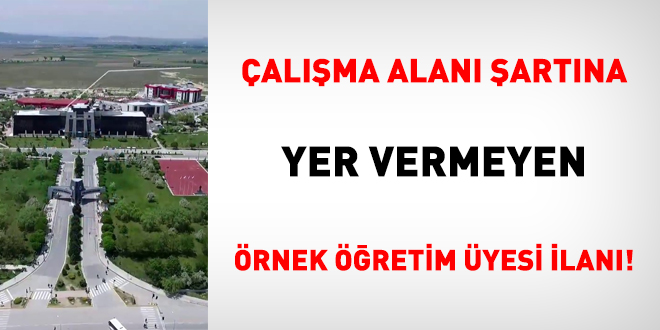 Çalışma alanı şartına yer vermeyen örnek öğretim üyesi ilanı!