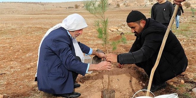 İmam ve papaz birlikte fidan dikti