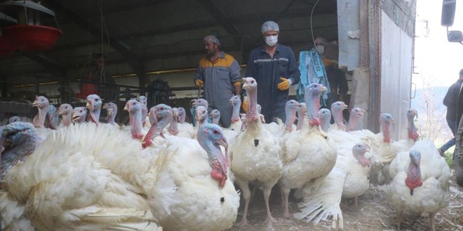 120 bin hindi 20 Aralık'ta satışa sunulacak! Fiyatı 50 TL olacak