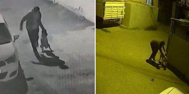 Köpeğin boğazını sıkıp işkence yaptı: O anlar kamerada