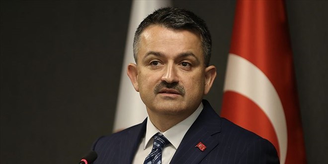 Bakanı Pakdemirli: Maalesef istediğimizin ötesinde artışlar var