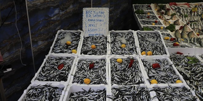 'Karadeniz'e kıyısı olan ülkeler, hamsiyi ortak denetlemeli'