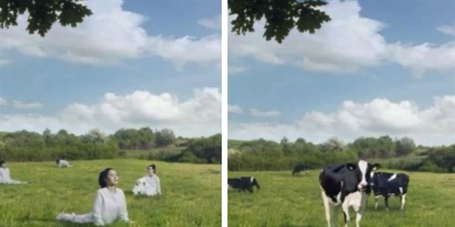 Reklamda kad�nlar� inek olarak g�steren firma �z�r diledi